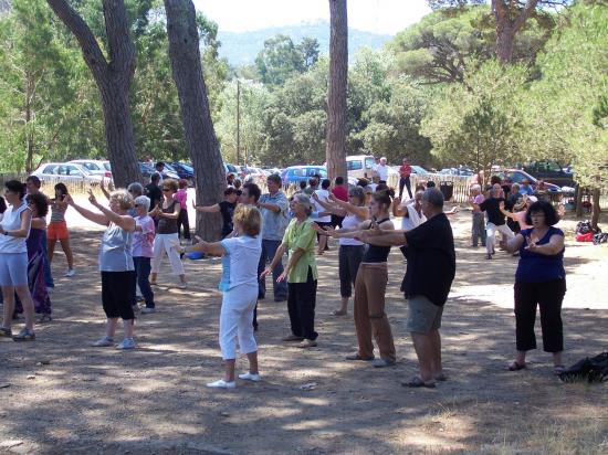 divers ateliers tai chi chuan-qi gong-gym taoïste...