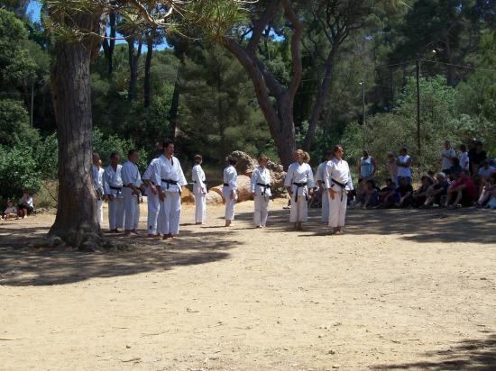 démonstration du club de Karaté do de Louis wan der Heyoten