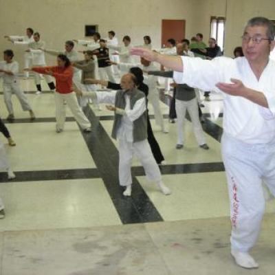 STAGE TAI CHI STYLE WU