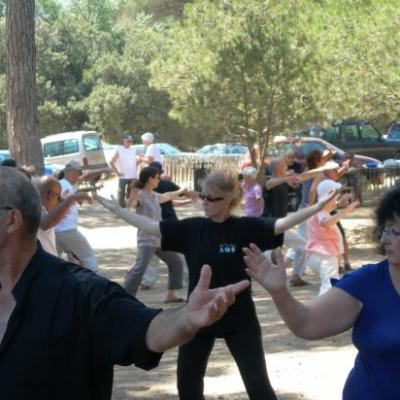 FETE DU TAI CHI/JANAS   JUIN 2009