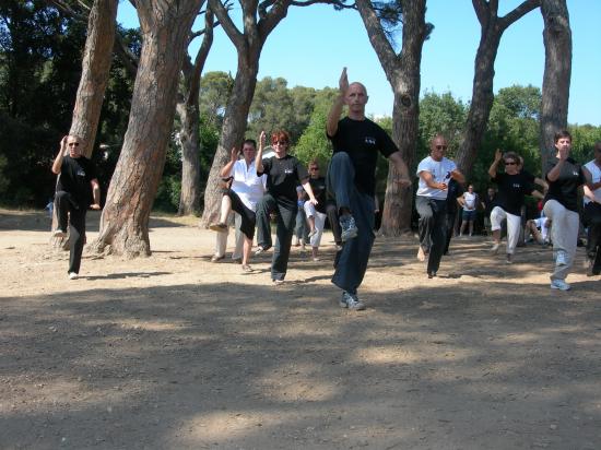 Démonstration du club Alpilles tai chi chuan : BA SHI TAOLU